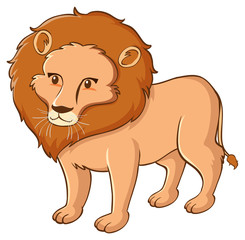 Wild lion on white background