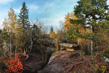 Ural mountains in the northern ridge. Rocky hillside, mosses and rare plants under the bright sun.