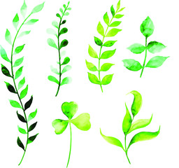 Beautiful Watercolor Floral and Leaves