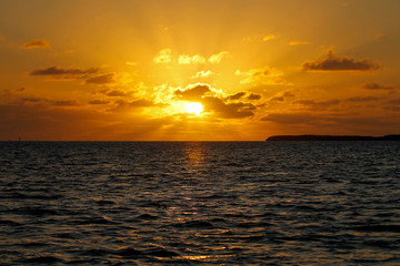 Fototapeta na wymiar Florida Keys Wildlife and Sunsets
