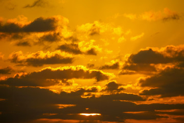 Florida Keys Wildlife and Sunsets