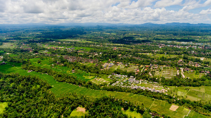 Fototapeta na wymiar A typical view of a Balinese village in the jungle. Aerial view, Bali, Indonesia.