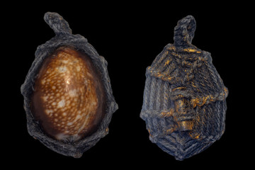 Monetaria moneta, the amulet of Thailand,