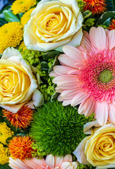 Colorful bouquet of roses and gerbera daisy 