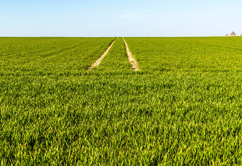 Green landscape - Run away from the virus