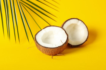 Coconut halves and palm branch on yellow background, close up