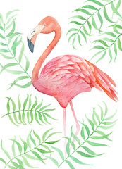 watercolor illustration, pink flamingo with tropical green leaves isolated on white
