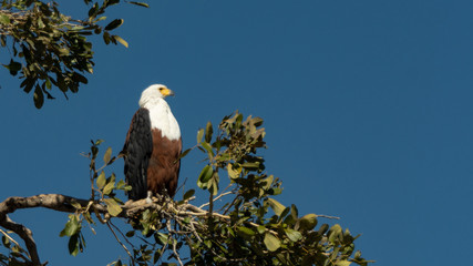 Big brother is watching you