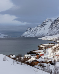 villaggio di pescatori con le case rosse in Norvegia oltre il circolo polare artico