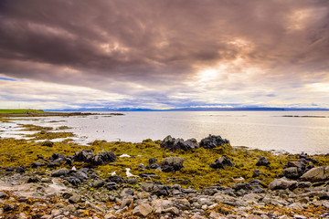 Fototapeta na wymiar Beautiful rugged Iceland Fjord seascape