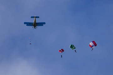 Skydivers have just jumped out of an airplane. Skydivers parachuting down to the Earth