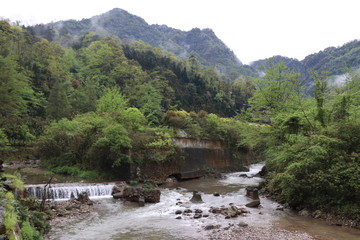 Fototapeta na wymiar Beautiful landscape of a river in the mountain between trees 
