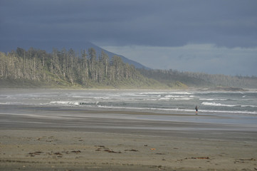 Lonely misty beach on the coast of Pacific ocean with unrecognisable person