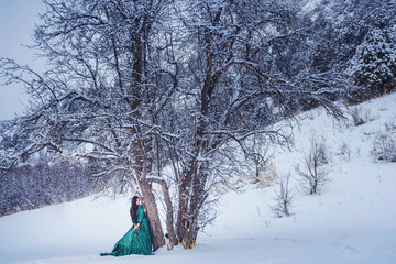 A girl in  fabulous long green dress in the snow-covered mountains. A woman in a fairy-tale dress...