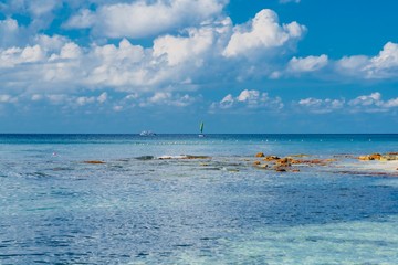 Fototapeta premium panorama of the island of Cozumel in Mexico