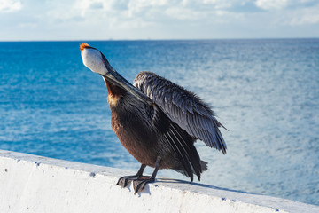 panorama of the island of Cozumel in Mexico