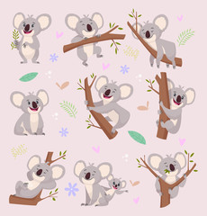Koala characters. Wild bear australia cartoon furry animals vector illustrations. Mammal koala on wood green smile © ONYXprj