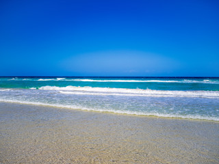 Fototapeta na wymiar Horizon seen on an empty beach with turquoise water
