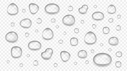 Realistic transparent water drops. Glass sphere, isolated rain elements. Liquid blobs vector illustration. Transparent drop clear, wash bubble freshness, condensation sphere water
