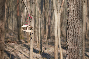 A small birdhouse in the spring in the forest