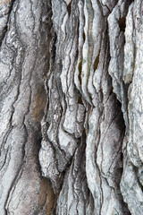 stone texture