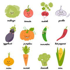 set of cute vegetables on isolated fone.Vector illustration with pumpkin, cucumber, tomato, pepper, radish, onion, broccoli, garlic, cabbage, carrot, eggplant, corn.Eat vegetables for fun background.