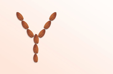 Letter Y of the English alphabet from nuts. Food pattern made from nuts alphabet for shop and diet