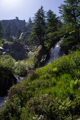Fototapeta na wymiar spring thaw falls in Valle Gesso