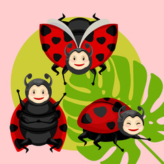 Cartoon Color Character Different Ladybird Set. Vector