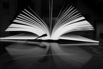 Libro abierto
