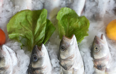 fresh sea bass with ice on showcase seafood restaurant