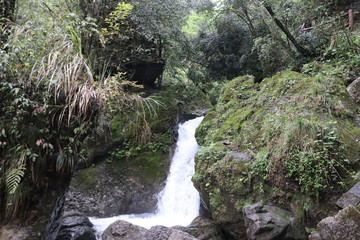 Beautiful landscape of a waterfall in a forest in a Mountain in Sichuan, China