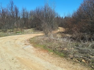 Old forest road in mountains