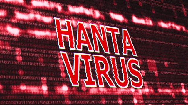 4K Hantavirus Corrupted Signal Notification Display