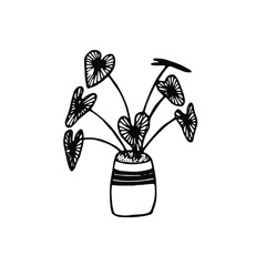 Interior illustartion with decorative alocasia in the floralpot. Eco botanical illustration for T-Shirt, bags, etc. print. Isolated on the white background hand drawn vector illustration. Indoor plant