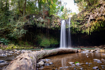 waterfall in the forest