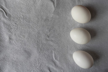 White eggs on paper background, copy space.