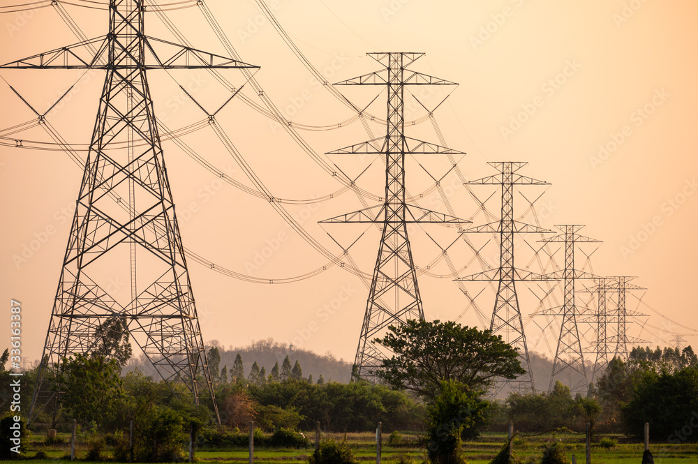 Wall mural arrangement of high voltage pole, transmission tower on rice field at sunset