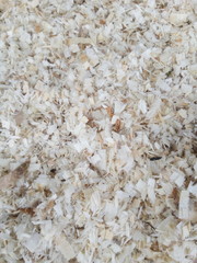 sawdust close up
