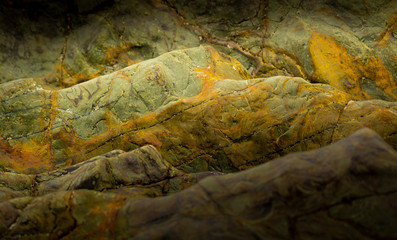 Abstract yellow and green sea rocks background, close-up shiny details.