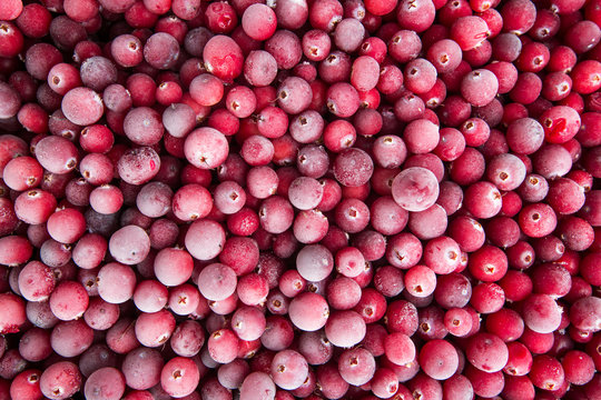Fresh frozen red juicy cranberries close-up