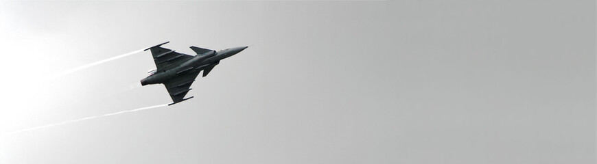 jet fighter - Gripen - obrazy, fototapety, plakaty