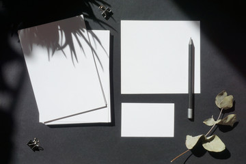 White  business cards, tag, succulent and eucalyptus leaves, pencil on a textured black paper background. Natural light casts a shadow from the plants.