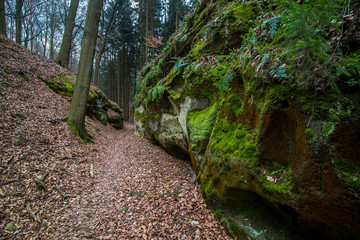 Golden Path of Bohemian Paradise surrounded by sandstones
