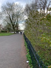 Fototapeta premium footpath in the park