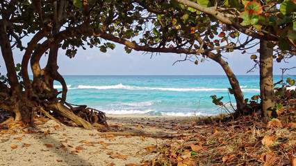 Fototapeta na wymiar tropical beach of Varadero in Cuba