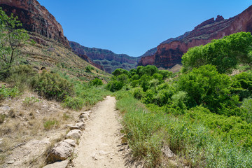 Fototapeta na wymiar hiking through indian garden on bright angel trail in grand canyon national park, arizona, usa