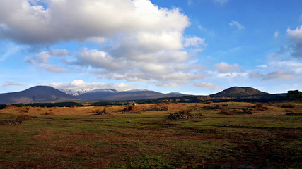 파란 하늘 흰구름이 있는 목초지