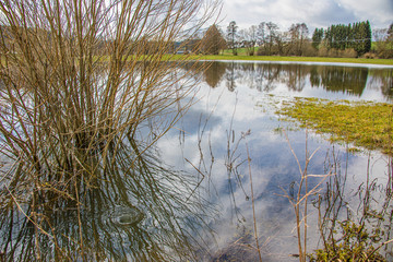 Wasserstrudel auf überschwemmter Wiese