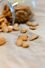Bowl of  toasted almonds on a gray background